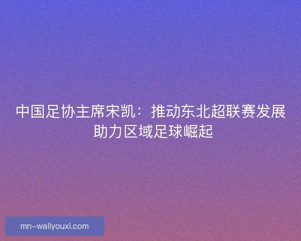 中国足协主席宋凯:推动东北超联赛发展 助力区域足球崛起 中国足协主席宋凯:推动东北超联赛发展 助力区域足球崛起